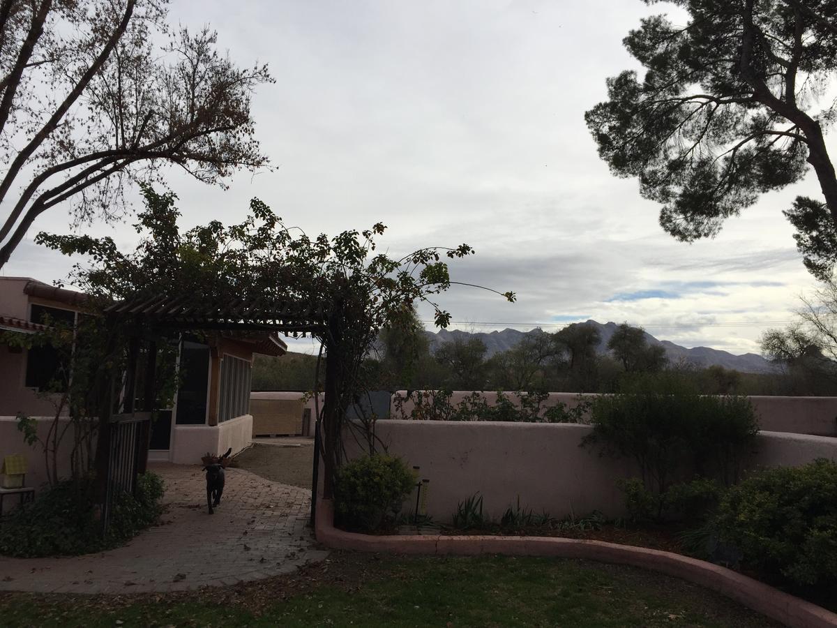 Casa Paloma B&B Tubac Екстер'єр фото